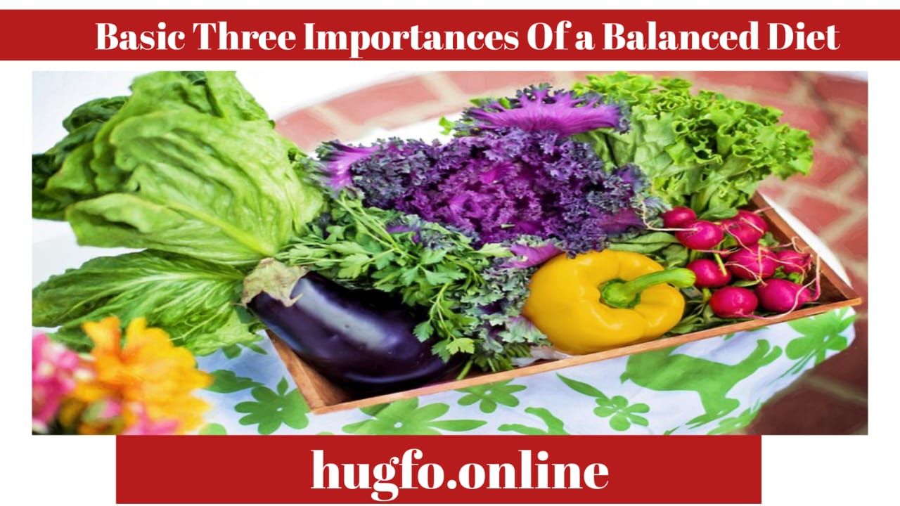 Balanced Diet: What are the basic Three Importance’s of a Balanced Diet 2024